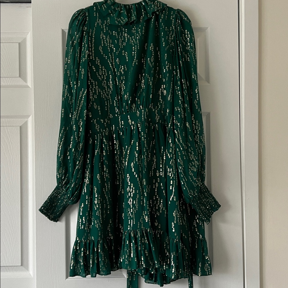 NWT - Lily Birdy Long Sleeve Silk Dress - Evergreen - Size 16 - Picture 4 of 10